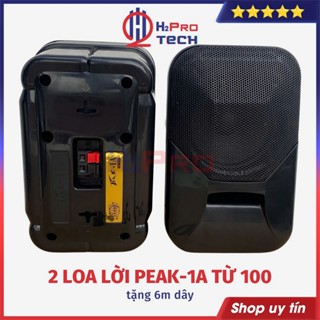  Loa Treo Tường Peak1 200W  Giá 2 Cái Tặng 6m Dây  Loa Trợ Lời Hay Cho Quán Cafe Nhà Hàng - H2Pro 