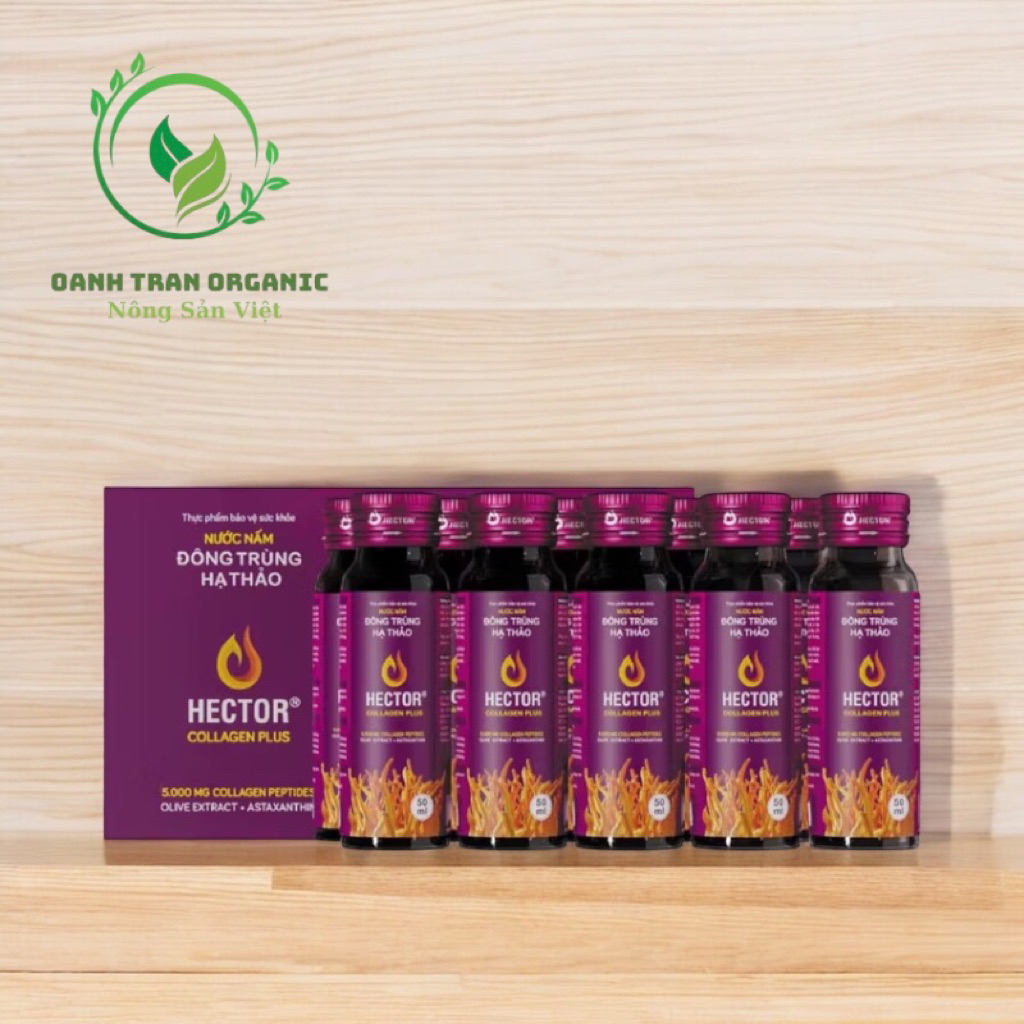 [Tang bao li xi) Nước Nấm Đông Trùng Hạ Thảo Hector Collagen Plus