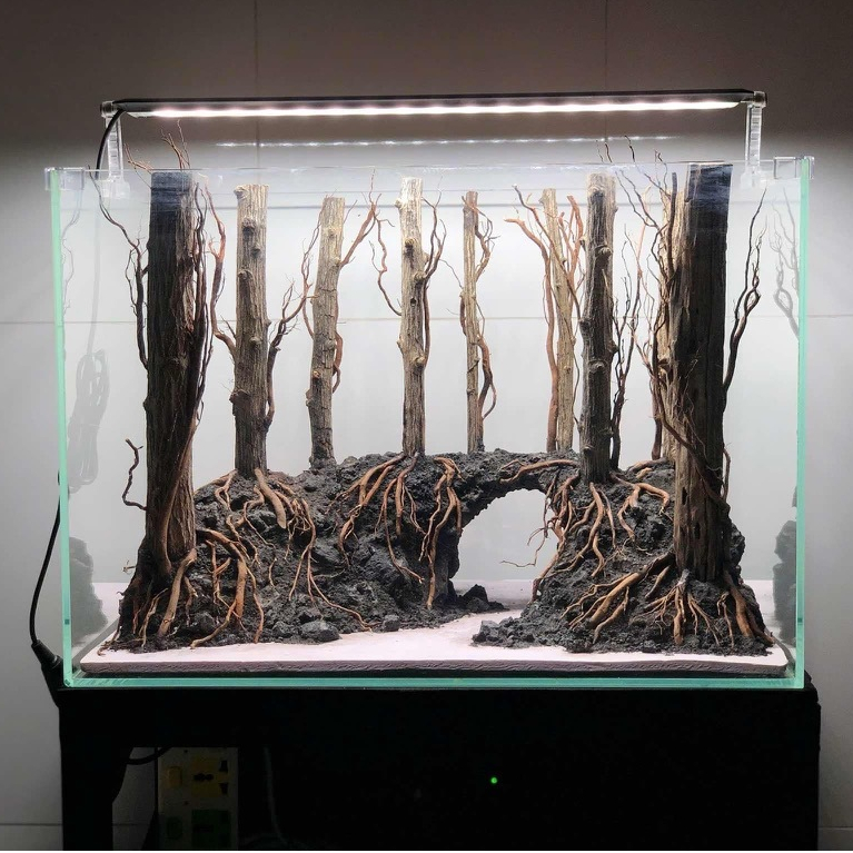 Layout khu rừng cây rễ thuỷ sinh dùng để trang trí hồ cá kích thước 40.30.30 Layout thô