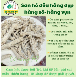 San hô trang trí, vật liệu lọc nước hồ cá ,tăng PH trong nước (5kg)