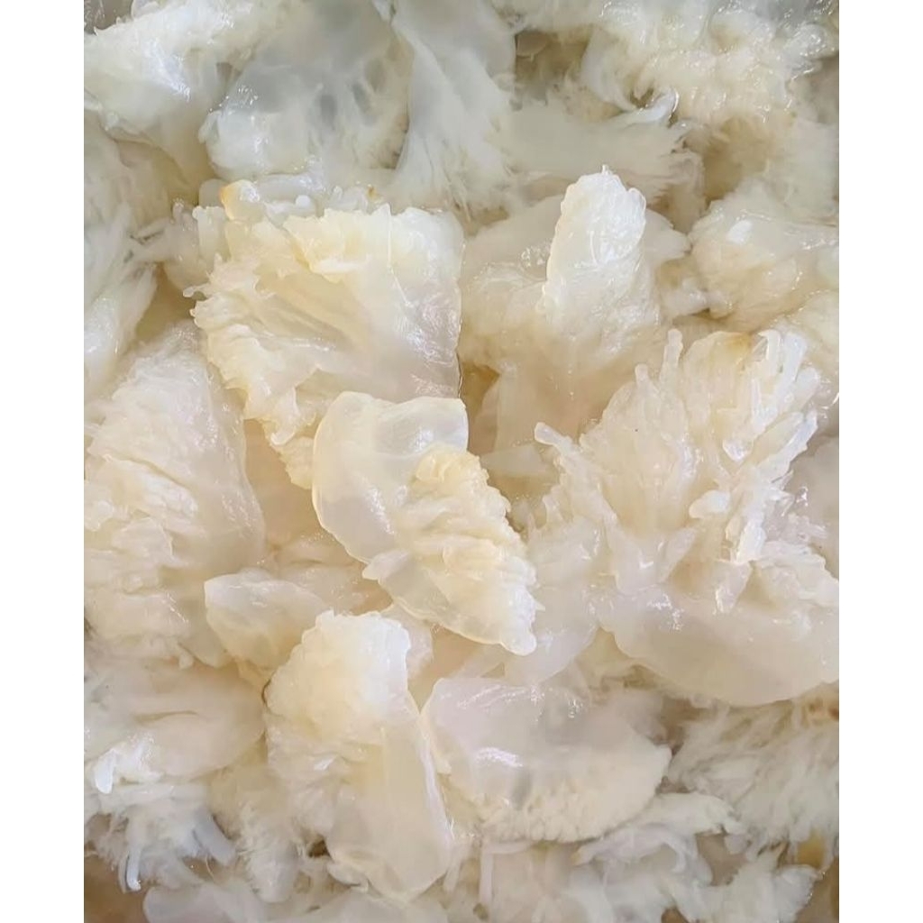 200gr chân sứa biển giòn ngon