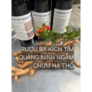 RƯỢU BA KÍCH TÍM QUẢNG NINH CHAI 1L NGÂM CHUM HẠ THỔ 1 NĂM