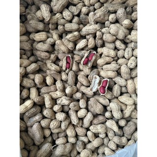 Lạc Vỏ Hạt Đỏ Quê 1kg – Hạt To, Đều, Thơm Bùi