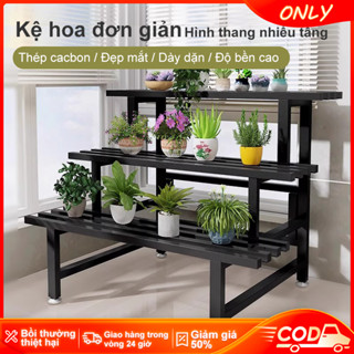  ONLY Kệ Bậc Thang Trưng Bày Cây Thép Cacbon Giá đỡ Chậu Cây Cảnh Nhiều Tầng Cây Cảnh Kệ Sắt Trồng Cây Kệ Đa Năng 