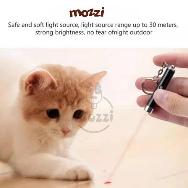 Đèn laser laze đồ chơi cho mèo