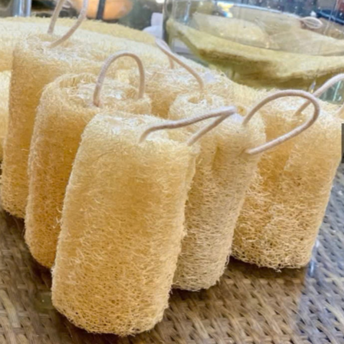 [Top Value] Rửa Bát Xơ Mướp Cắt Khúc - Với Sản Phẩm Được Làm Hoàn Toàn Từ Xơ Mướp Thiên Nhiên An Toàn Cho Da