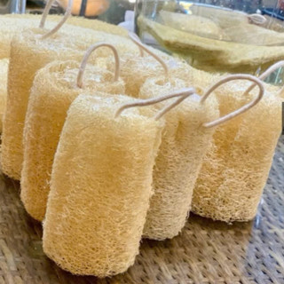 [Top Value] Rửa Bát Xơ Mướp Cắt Khúc - Với Sản Phẩm Được Làm Hoàn Toàn Từ Xơ Mướp Thiên Nhiên An Toàn Cho Da