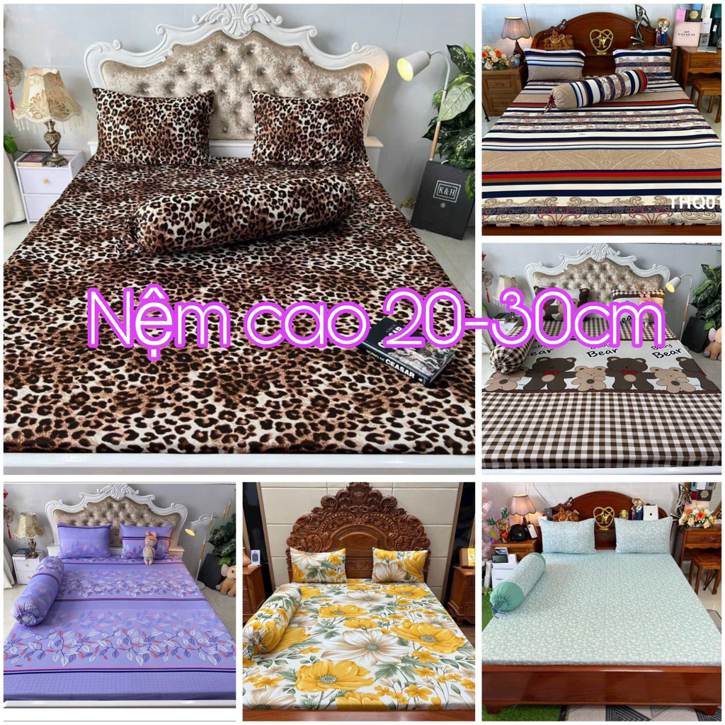 [NỆM 20-30CM] Bộ drap ga thun hàn quốc 4 món