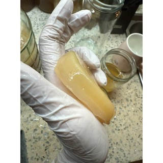 Con giống SCOBY làm KOMBUCHA