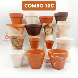 [COMBO 10C] CHẬU ĐẤT NUNG TRỒNG SEN ĐÁ XƯƠNG RỒNG
