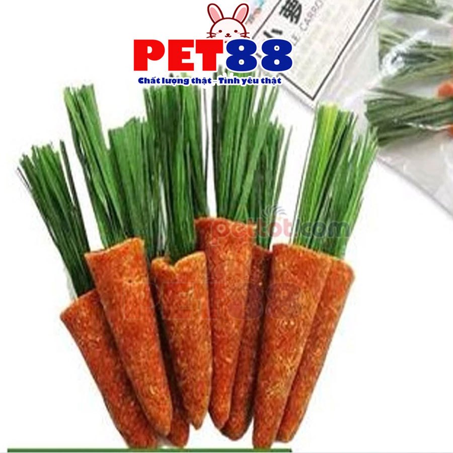 Củ carot mài răng cho thỏ cảnh chuột lang bọ ú Hamster - PET88