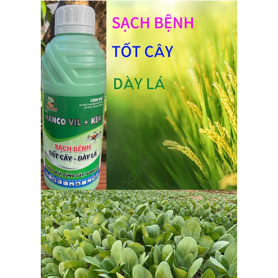VILL ẤN ĐỘ ( hexaconazole 50g/l ) HEXA KẼM ZINC+ CHAI 1L - CHẶN ĐỌT , SẠCH BỆNH ,TỐT CÂY, DÀY LÁ,XAN