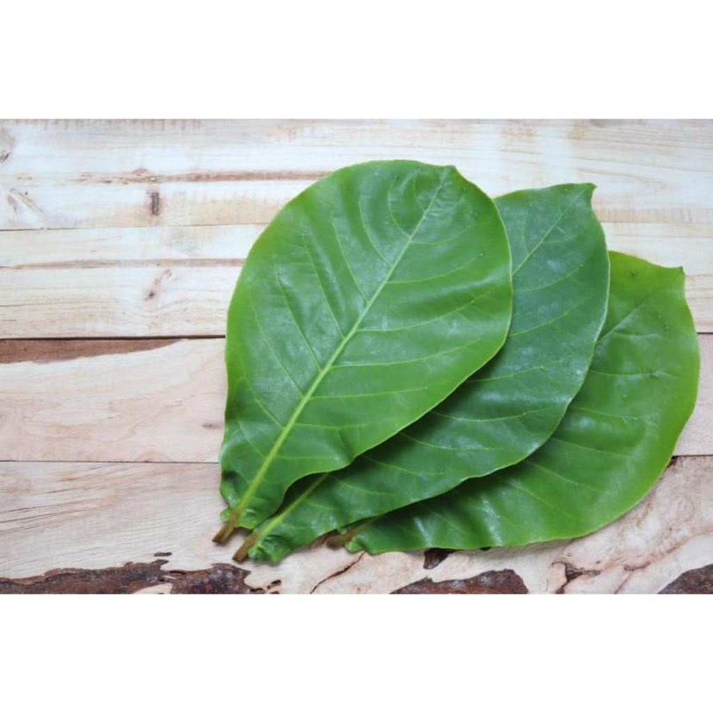 lá bàng tươi có đơn mới hái(lá bánh tẻ) 200g 12 ngàn