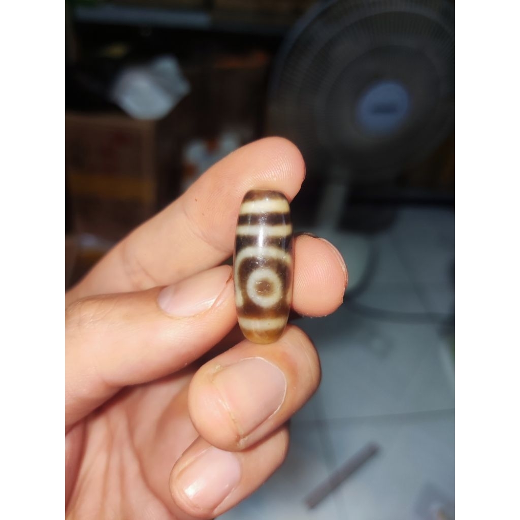 Dzi Răng Hổ và Dzi 2 Mắt - Pháp Khí Mật Tông - Phật giáo Tây Tạng