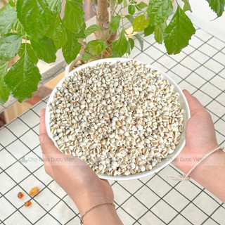 Hạt ý dĩ nếp 100g, hạt bobo, y dĩ nấu sữa hạt, thơm, bở bùi, nấu chè, cháo, hầm gà - Chợ Thảo Dược Việt