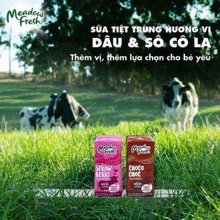 Sữa Tươi Tiệt Trùng Meadow Fresh Nhiều Vị