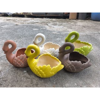  Chậu đất nung - chậu dáng Thiên Nga dài 24 x rộng 16 x cao 22 
