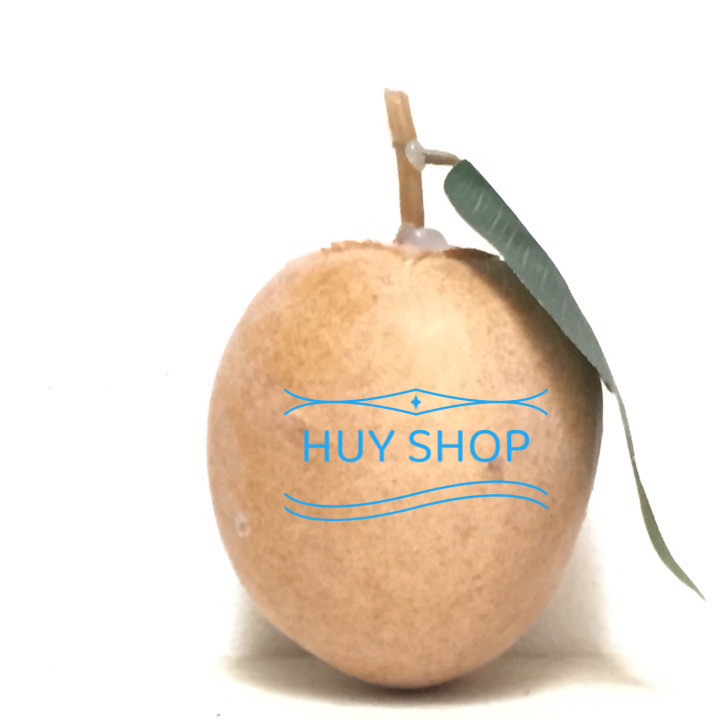 1 Trái SAPOTIER, Sapoche nhân tạo - Trái Cây giả