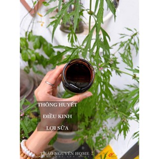  Cao chè vằng Thảo Nguyên Home 