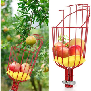 Đầu vợt hái trái cây trên cao dễ dàng, dụng cụ hái quả sơn tĩnh điện không kèm cán