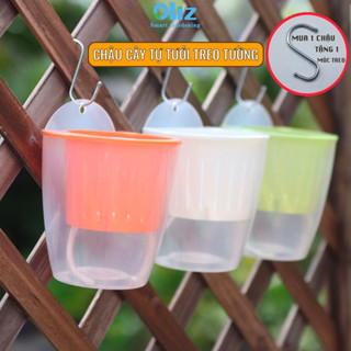 Chậu trồng cây treo tường Oliz K0 Clear, chậu cây treo tường ban công tự tưới lớp ngoài trong suốt