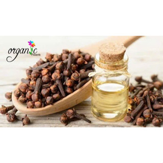 TINH DẦU NỤ ĐINH HƯƠNG (CLOVE BUDS)