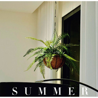Cây dương xỉ giả 60cm