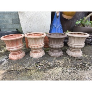  Chậu đất nung - chậu cúp cao 21cm 