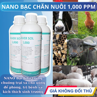 Dung dịch nano bạc 1000ppm 1 lít, giải pháp nano bạc công nghệ cho chăn nuôi, khử trùng, phòng bệnh
