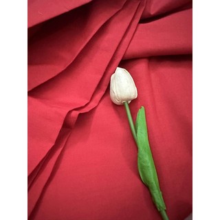 Vải kate , chất mịn đẹp , mát 25k /1 m❤️‍🔥❤️‍🔥