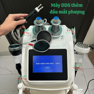 Máy điện sinh học DDS5 tiếng Việt 💥 HÀNG CAO CẤP 💥 Máy điện sinh học thế hệ mới