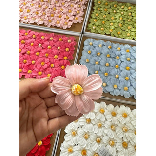 Hoa cúc buom 🦋 sáp hộp 50 bông