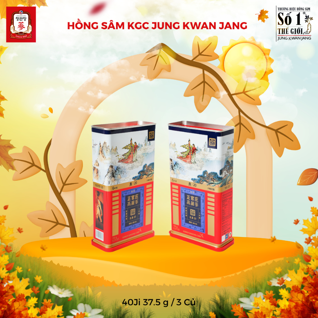 Lương Sâm Nguyên Củ KGC Jung Kwan Jang 3 củ khô