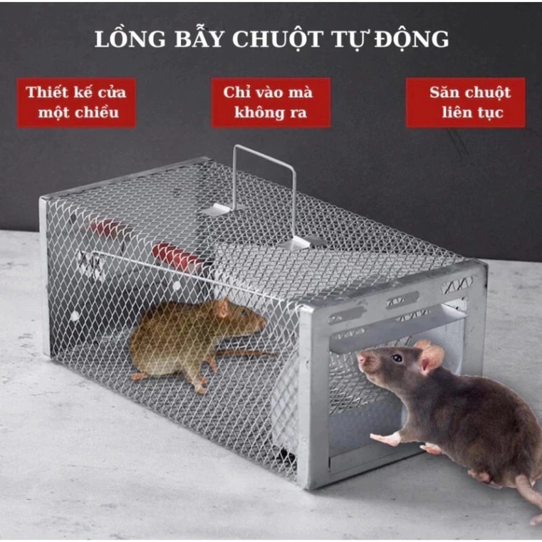 Bẫy Chuột Thông Minh, Lồng Bắt Chuột Thép Chắc Chắn, Tái Sử Dụng Nhiều Lần, Bắt Mọi Loại Chuột