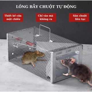 Bẫy Chuột Thông Minh, Lồng Bắt Chuột Thép Chắc Chắn, Tái Sử Dụng Nhiều Lần, Bắt Mọi Loại Chuột