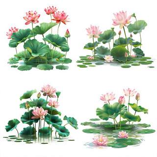 Decal Dán Tường Trang Trí phòng khách