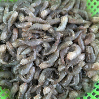 tôm mè sông 450gr [cấp đông] hoàn toàn tự nhiên💥tươi ngon💥bổ dưỡg
