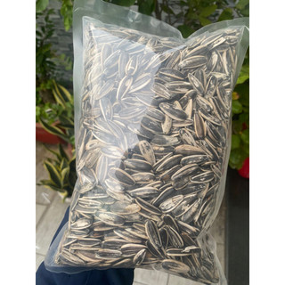  Hướng dương lớn đại túi 500g cho vẹt lớn Macaw Xám Châu Phi. 