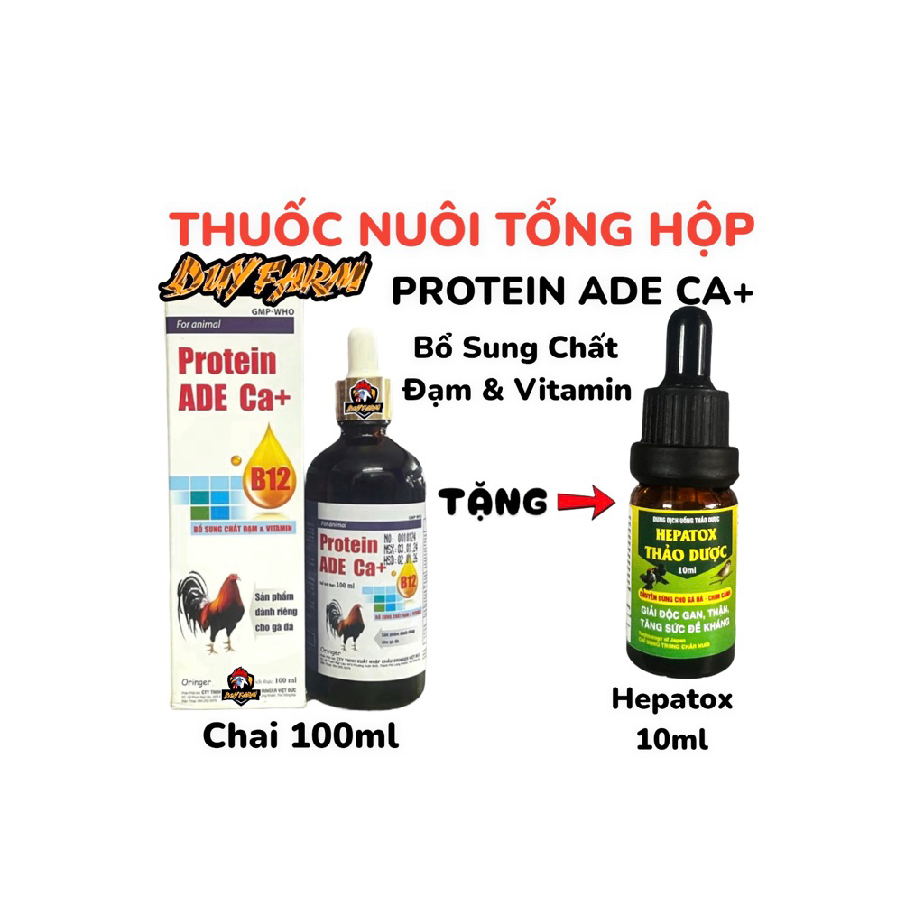 Protein b12 ADE Ca+B12 Bổ Sung Nuôi Dưỡng Chiến Kê. Sản phẩm dành riêng cho gà đá