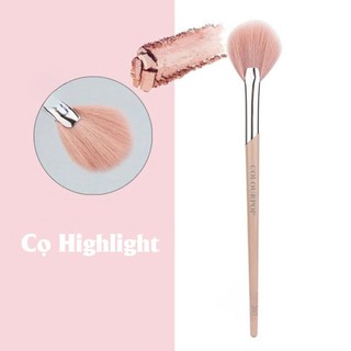 COLOURPOP Cọ trang điểm hình quạt tròn Cọ highlight tán phấn lông cọ mềm mại Fan Highlight C207