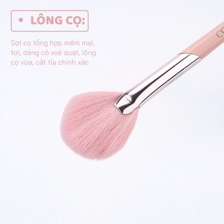 COLOURPOP Cọ trang điểm hình quạt tròn Cọ highlight tán phấn lông cọ mềm mại Fan Highlight C207