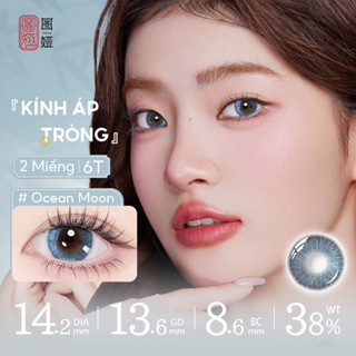 【2 Chiếc/1 Đôi Misty Hazel - Lens Seed 1 Ngày Có Màu Hàng Tháng UV Có Full Độ Lens Cận 6 Tháng Kính Áp Tròng Cận