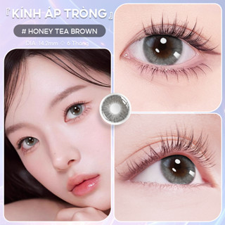 ‌Kính Áp Tròng Lens Seed Loại Dùng 6 Tháng UV Có Màu Eye Coffret Có Full Độ Lens Cận (2 Chiếc Lẻ/1 Đôi)‌
