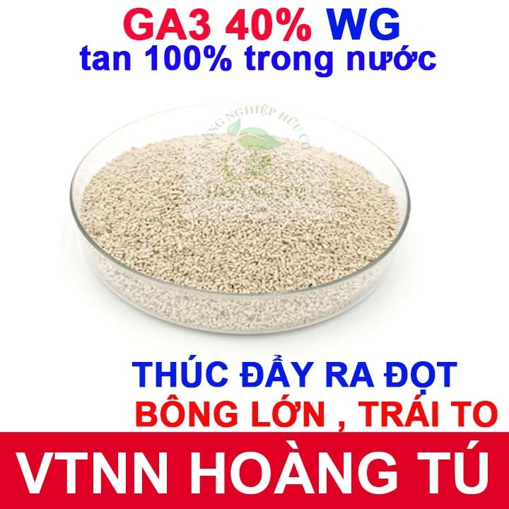 Phân bón điều hòa sinh trưởng Gibber GA3 Gibberellic Acid 40% thúc đẩy ra đọt, bông lớn, trái to