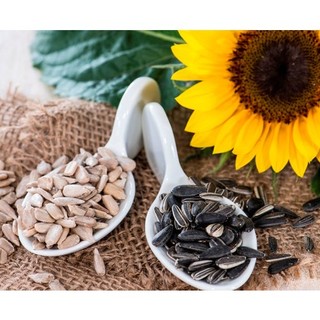 Hạt Hướng Dương Tách Vỏ - 100 Gram