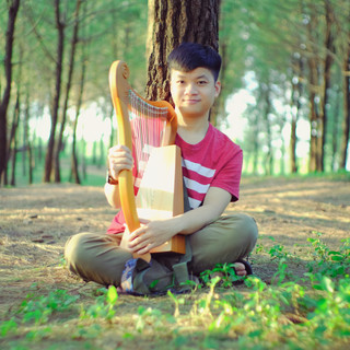 Đàn hạc 19/15 dây ARES (Đàn Harp 19/15 dây)