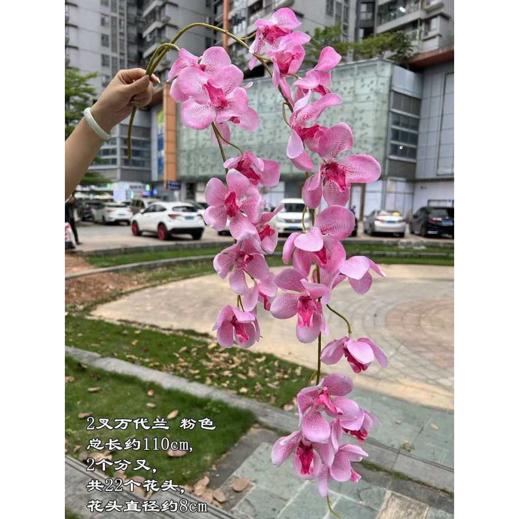 cành Lan hoa vanda 2 nhánh, cánh được hoa in Vân decor trang trí, hộp quà hay hoa cài tóc đều phù hợp