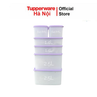 Bộ hộp trữ đông Tupperware Gen II Violet dẻo nắp tím chính hãng nhựa nguyên sinh an toàn