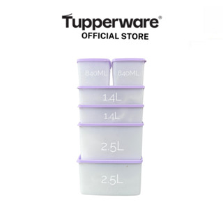 Bộ hộp trữ đông mát Tupperware chính hãng VIOLET (6) Gen II nhập khẩu nhựa dẻo nguyên sinh