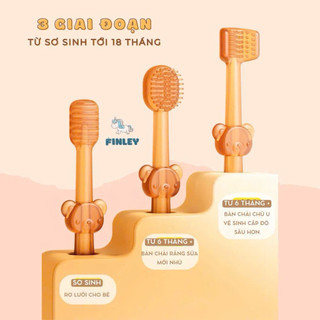 Bộ rơ lưỡi và bàn chải đánh răng FINLEY gấu con 4 món
